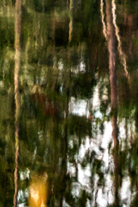 Rainy Lake Reflections