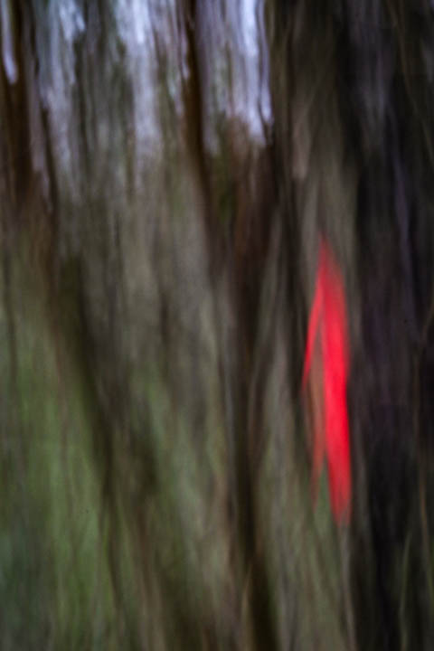 Movement Arb